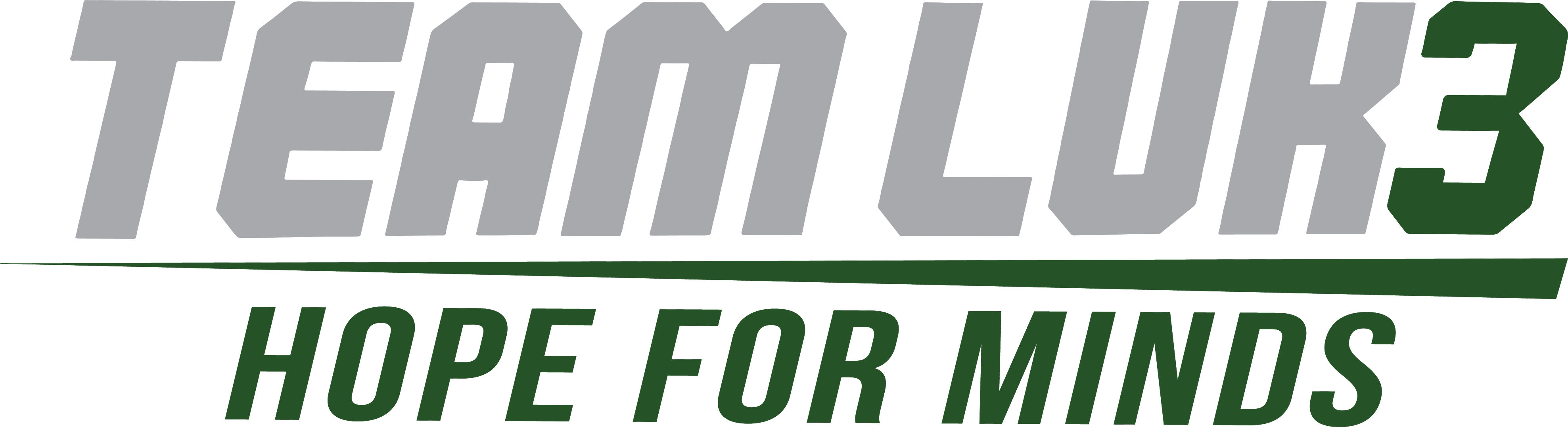 Team Luke logo